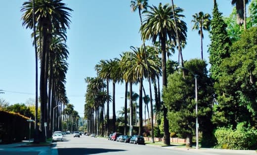 The Palms view of city